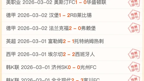 欧篮联对决：立陶宛挑战西甲豪门，专家预测主场胜算