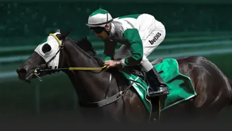 南美解放者杯巴萨克卢前瞻：专家推荐质合分析，前区十码预测